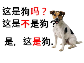 这是狗吗？ 
这是不是狗？ 
是，这是狗. 
 