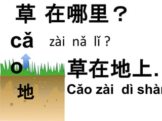 草 
cǎ 
o 
在哪里？ 
地 
zài nǎ lǐ ? 
草在地上. 
Cǎo zài dì shàng 
 