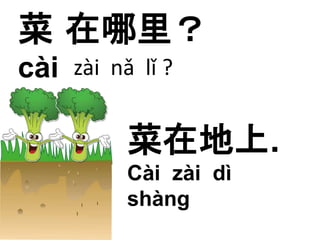 菜 
cài 
在哪里？ 
zài nǎ lǐ ? 
菜在地上. 
Cài zài dì 
shàng 
 