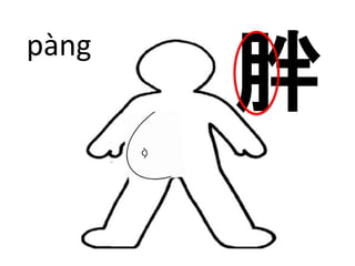 胖pàng 
 