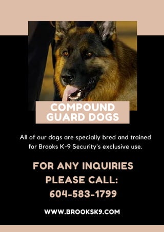All of our dogs are specially bred and trained
for Brooks K-9 Security’s exclusive use.
FOR ANY INQUIRIES
PLEASE CALL:
604-583-1799
WWW.BROOKSK9.COM
COMPOUND
GUARD DOGS
 