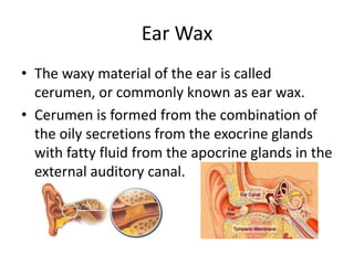 Ear Wax
• The waxy material of the ear is called
  cerumen, or commonly known as ear wax.
• Cerumen is formed from the combination of
  the oily secretions from the exocrine glands
  with fatty fluid from the apocrine glands in the
  external auditory canal.
 