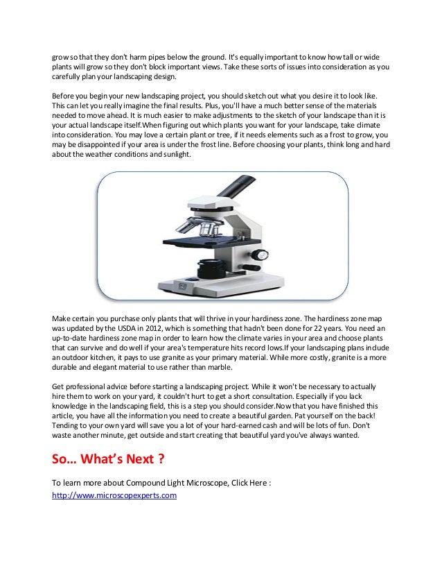 Compound light microscope