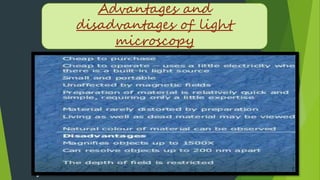 Advantages and
disadvantages of light
microscopy
 