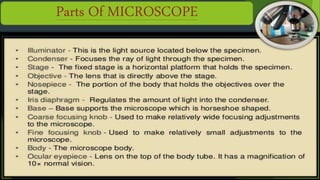 Parts Of MICROSCOPE
 