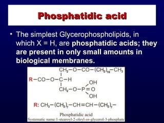 • The simplest Glycerophospholipids, in
which X = H, are phosphatidic acids; they
are present in only small amounts in
biological membranes.
Phosphatidic acidPhosphatidic acid
 