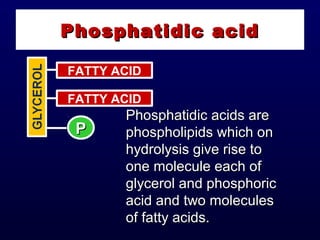 Phosphatidic acidPhosphatidic acid
FATTY ACID
FATTY ACID
PP
Phosphatidic acids arePhosphatidic acids are
phospholipids which onphospholipids which on
hydrolysis give rise tohydrolysis give rise to
one molecule each ofone molecule each of
glycerol and phosphoricglycerol and phosphoric
acid and two moleculesacid and two molecules
of fatty acids.of fatty acids.
 