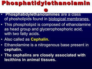 • Phosphatidylethanolamines are a class
of phosholipids found in biological membranes.
• This phospholipid is composed of ethanolamine
as head group and glycerophosphoric acid,
with two fatty acids.
• Also called as Cephalin.
• Ethanolamine is a nitrogenous base present in
cephalin.
• The cephalins are closely associated with
lecithins in animal tissues.
PhosphatidylethanolaminPhosphatidylethanolamin
ee
 