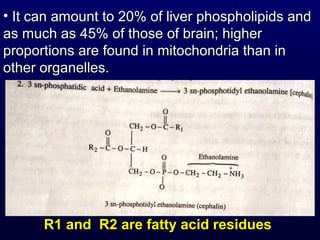 R1 and R2 are fatty acid residuesR1 and R2 are fatty acid residues
• It can amount to 20% of liver phospholipids andIt can amount to 20% of liver phospholipids and
as much as 45% of those of brain; higheras much as 45% of those of brain; higher
proportions are found in mitochondria than inproportions are found in mitochondria than in
other organelles.other organelles.
 