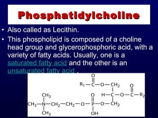 • Also called as Lecithin.
• This phospholipid is composed of a choline
head group and glycerophosphoric acid, with a
variety of fatty acids. Usually, one is a
saturated fatty acid and the other is an
unsaturated fatty acid .
PhosphatidylcholinePhosphatidylcholine
 