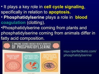 • It plays a key role inIt plays a key role in cell cycle signalingcell cycle signaling,,
specifically in relation tospecifically in relation to apoptosis.apoptosis.
• PhosphatidylserinePhosphatidylserine plays a role inplays a role in bloodblood
coagulationcoagulation (clotting).(clotting).
•Phosphatidylserine coming from plants andPhosphatidylserine coming from plants and
phosphatidylserine coming from animals differ inphosphatidylserine coming from animals differ in
fatty acid composition.fatty acid composition.
https://https://perfectketo.com/perfectketo.com/
phosphatidylserinephosphatidylserine//
 