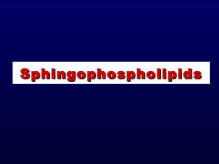 SphingophospholipidsSphingophospholipids
 