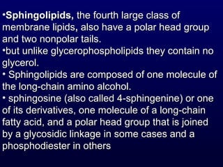 •Sphingolipids,Sphingolipids, the fourth large class ofthe fourth large class of
membrane lipidsmembrane lipids,, also have a polar head groupalso have a polar head group
and two nonpolar tails.and two nonpolar tails.
•but unlike glycerophospholipids they contain nobut unlike glycerophospholipids they contain no
glycerol.glycerol.
• Sphingolipids are composed of one molecule ofSphingolipids are composed of one molecule of
the long-chain amino alcohol.the long-chain amino alcohol.
• sphingosine (also called 4-sphingenine) or onesphingosine (also called 4-sphingenine) or one
of its derivatives, one molecule of a long-chainof its derivatives, one molecule of a long-chain
fatty acid, and a polar head group that is joinedfatty acid, and a polar head group that is joined
by a glycosidic linkage in some cases and aby a glycosidic linkage in some cases and a
phosphodiester in othersphosphodiester in others
 