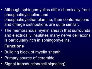 • Although sphingomyelins differ chemically from
phosphatidylcholine and
phosphatidylethanolamine, their conformations
and charge distributions are quite similar.
• The membranous myelin sheath that surrounds
and electrically insulates many nerve cell axons
is particularly rich in sphingomyelins. .
Functions
• Building block of myelin sheath
• Primary source of ceramide
• Signal transduction(cell signaling)
 