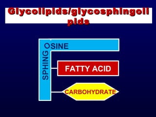 FATTY ACID
OSINE
CARBOHYDRATE
Glycolipids/glycosphingoliGlycolipids/glycosphingoli
pidspids
 