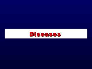 DiseasesDiseases
 