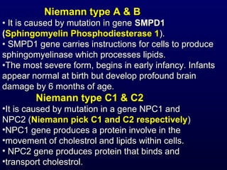 Niemann type A & BNiemann type A & B
•• It is caused by mutation in geneIt is caused by mutation in gene SMPD1SMPD1
((Sphingomyelin Phosphodiesterase 1Sphingomyelin Phosphodiesterase 1).).
•• SMPD1 gene carries instructions for cells to produceSMPD1 gene carries instructions for cells to produce
sphingomyelinase which processes lipids.sphingomyelinase which processes lipids.
••The most severe form, begins in early infancy. InfantsThe most severe form, begins in early infancy. Infants
appear normal at birth but develop profound brainappear normal at birth but develop profound brain
damage by 6 months of age.damage by 6 months of age.
Niemann type C1 & C2Niemann type C1 & C2
•It is caused by mutation in a gene NPC1 andIt is caused by mutation in a gene NPC1 and
NPC2 (NPC2 (Niemann pick C1 and C2 respectivelyNiemann pick C1 and C2 respectively))
•NPC1 gene produces a protein involve in theNPC1 gene produces a protein involve in the
•movement of cholestrol and lipids within cells.movement of cholestrol and lipids within cells.
• NPC2 gene produces protein that binds andNPC2 gene produces protein that binds and
•transport cholestrol.transport cholestrol.
 