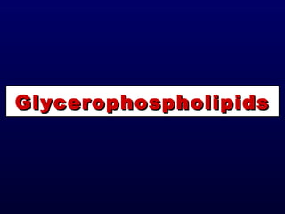 GlycerophospholipidsGlycerophospholipids
 