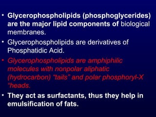 • Glycerophospholipids (phosphoglycerides)
are the major lipid components of biological
membranes.
• Glycerophospholipids are derivatives of
Phosphatidic Acid.
• Glycerophospholipids are amphiphilic
molecules with nonpolar aliphatic
(hydrocarbon) “tails” and polar phosphoryl-X
“heads.
• They act as surfactants, thus they help in
emulsification of fats.
 