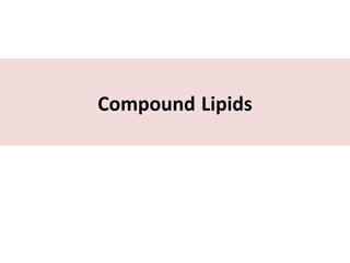Compound Lipids
 