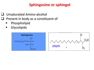 Sphingosine or sphingol
 Unsaturated Amino-alcohol
 Present in body as a constituent of
 Phospholipid
 Glycolipids
 