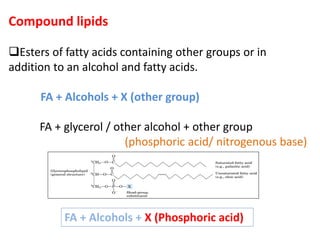 Compound lipids
Esters of fatty acids containing other groups or in
addition to an alcohol and fatty acids.
FA + Alcohols + X (other group)
FA + glycerol / other alcohol + other group
(phosphoric acid/ nitrogenous base)
FA + Alcohols + X (Phosphoric acid)
 