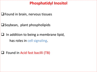 Phosphatidyl Inositol
Found in brain, nervous tissues
Soybean, plant phospholipids
 In addition to being a membrane lipid,
has roles in cell signaling.
 Found in Acid fast bacilli (TB)
 