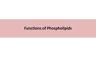 Functions of Phospholipids
 