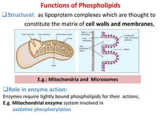 Functions of Phospholipids
Structural: as lipoprotein complexes which are thought to
constitute the matrix of cell walls and membranes,
E.g.: Mitochondria and Microsomes
Role in enzyme action:
Enzymes require tightly bound phospholipids for their actions.
E.g. Mitochondrial enzyme system involved in
oxidative phosphorylation
 