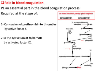 Role in blood coagulation:
PL an essential part in the blood coagulation process.
Required at the stage of:
1- Conversion of prothrombin to thrombin
by active factor X
2-In the activation of factor VIII
by activated factor IX.
 