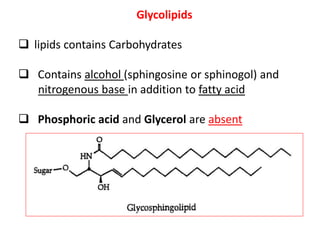 Glycolipids
 lipids contains Carbohydrates
 Contains alcohol (sphingosine or sphinogol) and
nitrogenous base in addition to fatty acid
 Phosphoric acid and Glycerol are absent
 