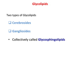 Glycolipids
Two types of Glycolipids
 Cerebrosides
 Gangliosides
• Collectively called Glycosphingolipids
 