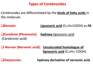 Types of Cerebrosides
Cerebrosides are differentiated by the kinds of fatty acids in
the molecule.
Kerasin: Lignoceric acid (C23H47COOH) as FA
Cerebron (Phrenosin): hydroxy lignoceric acid
(Cerebronic acid)
 Nervon (Nervonic acid): Unsaturated homologue of
lignoceric acid (C23H45 COOH).
Oxynervon: hydroxy derivative of nervonic acid.
 