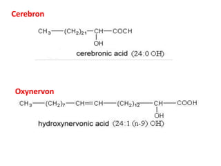 Oxynervon
Cerebron
 