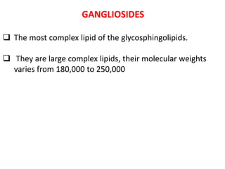 GANGLIOSIDES
 The most complex lipid of the glycosphingolipids.
 They are large complex lipids, their molecular weights
varies from 180,000 to 250,000
 
