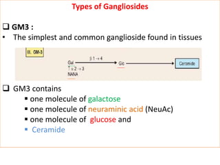 Types of Gangliosides
 GM3 :
• The simplest and common ganglioside found in tissues
 GM3 contains
 one molecule of galactose
 one molecule of neuraminic acid (NeuAc)
 one molecule of glucose and
 Ceramide
 