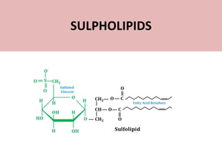 SULPHOLIPIDS
 
