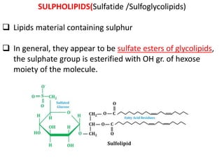 SULPHOLIPIDS(Sulfatide /Sulfoglycolipids)
 Lipids material containing sulphur
 In general, they appear to be sulfate esters of glycolipids,
the sulphate group is esterified with OH gr. of hexose
moiety of the molecule.
 