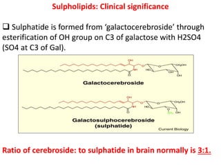 Sulpholipids: Clinical significance
 Sulphatide is formed from ‘galactocerebroside’ through
esterification of OH group on C3 of galactose with H2SO4
(SO4 at C3 of Gal).
Ratio of cerebroside: to sulphatide in brain normally is 3:1.
 