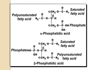 Lipids, types structure and uses of Compound Lipids.pptx