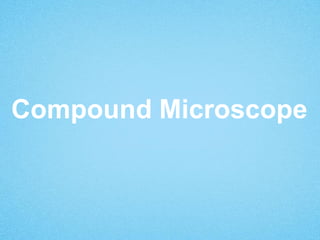 Compound Microscope
 