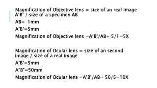 Compound microscope | PPTX