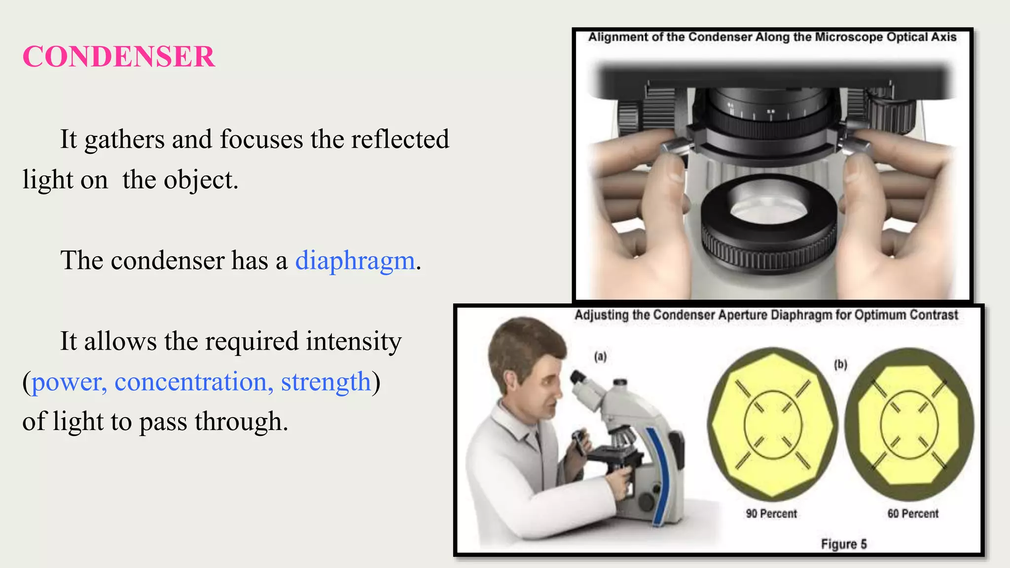 CONDENSER
It gathers and focuses the reflected
light on the object.
The condenser has a diaphragm.
It allows the required intensity
(power, concentration, strength)
of light to pass through.
 