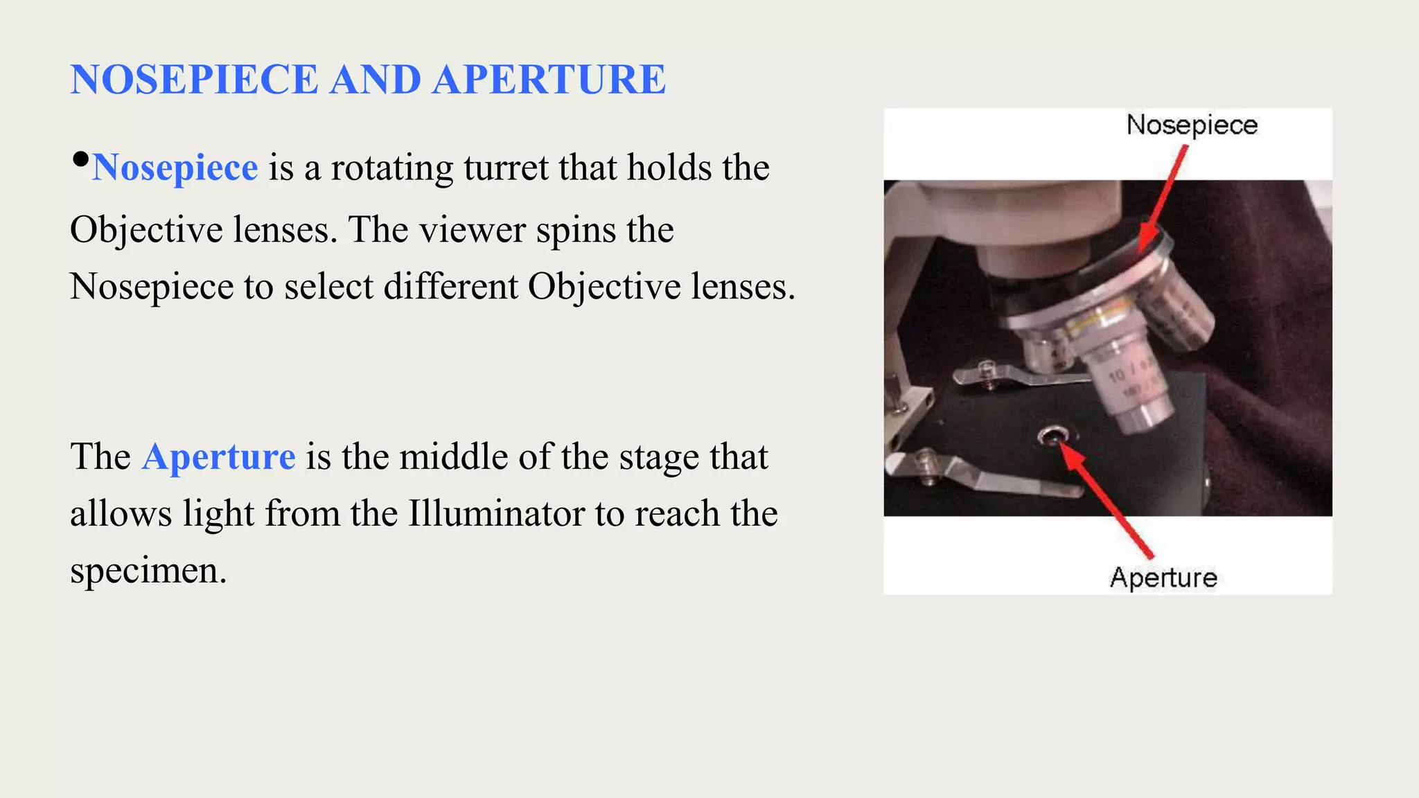 NOSEPIECE AND APERTURE
•Nosepiece is a rotating turret that holds the
Objective lenses. The viewer spins the
Nosepiece to select different Objective lenses.
The Aperture is the middle of the stage that
allows light from the Illuminator to reach the
specimen.
 