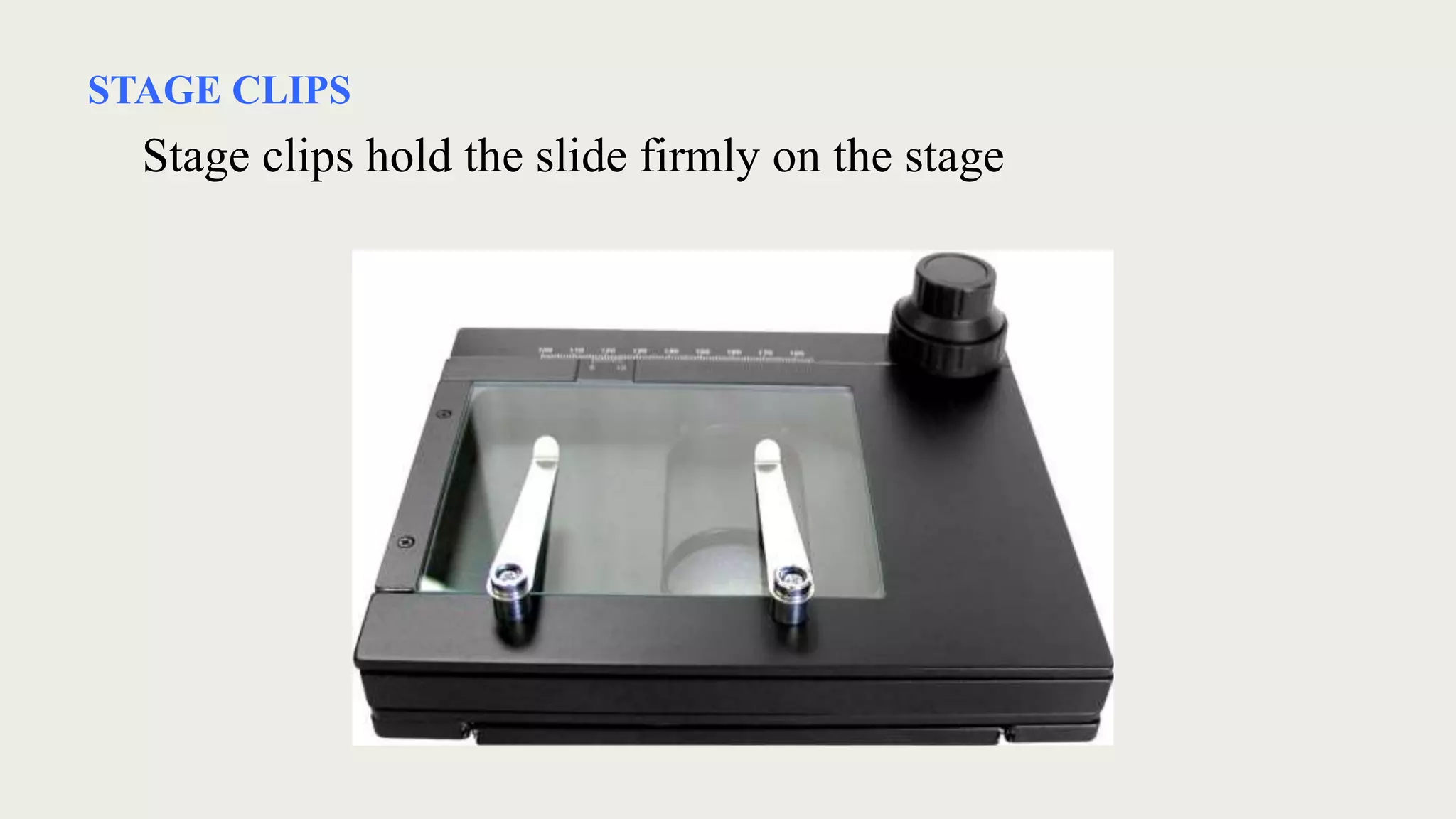 STAGE CLIPS
Stage clips hold the slide firmly on the stage
 
