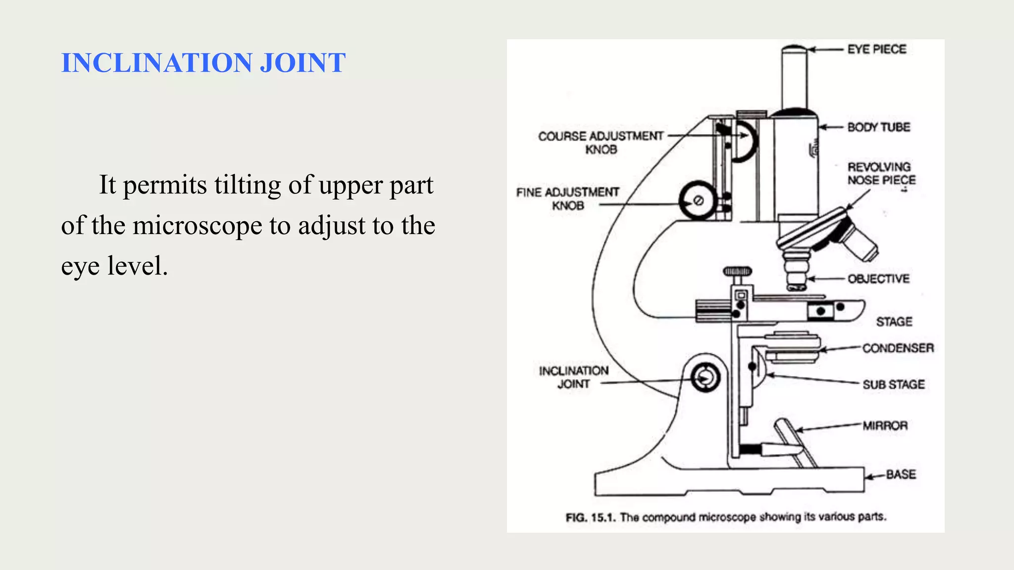 INCLINATION JOINT
It permits tilting of upper part
of the microscope to adjust to the
eye level.
 