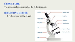 STRUCTURE
The compound microscope has the following parts.
REFLECTING MIRROR
It reflects light on the object.
 