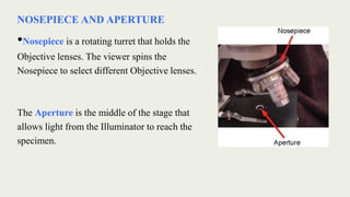 NOSEPIECE AND APERTURE
•Nosepiece is a rotating turret that holds the
Objective lenses. The viewer spins the
Nosepiece to select different Objective lenses.
The Aperture is the middle of the stage that
allows light from the Illuminator to reach the
specimen.
 