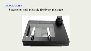 STAGE CLIPS
Stage clips hold the slide firmly on the stage
 