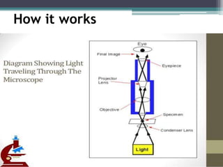 Compound microscope | PPTX